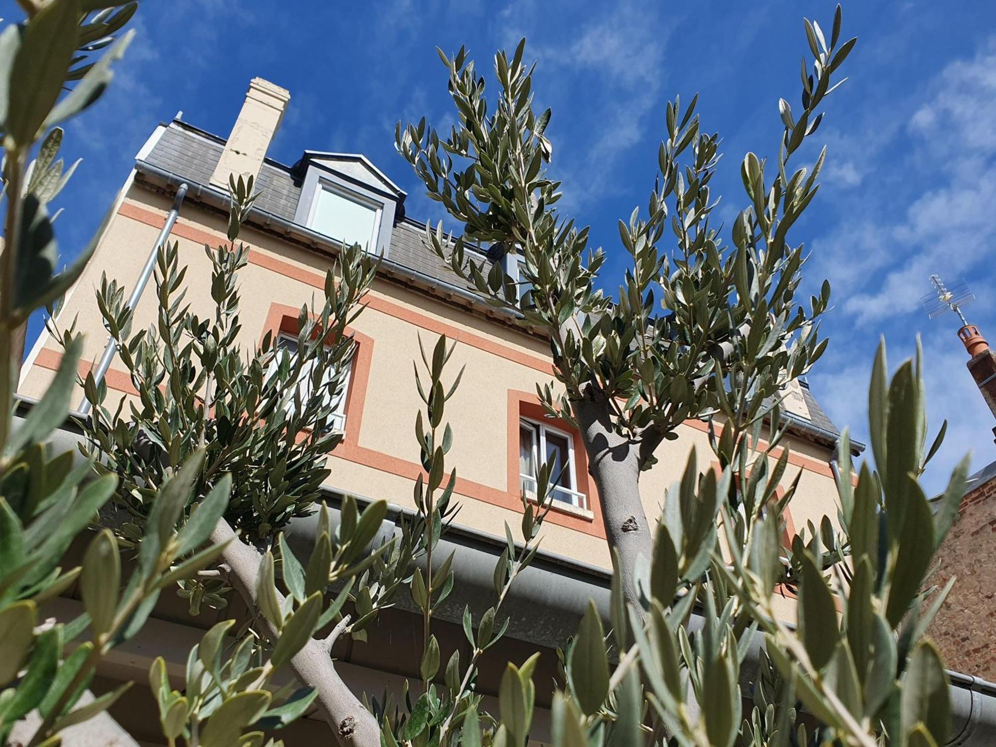 Villa Les Bains Houlgate Dış mekan fotoğraf