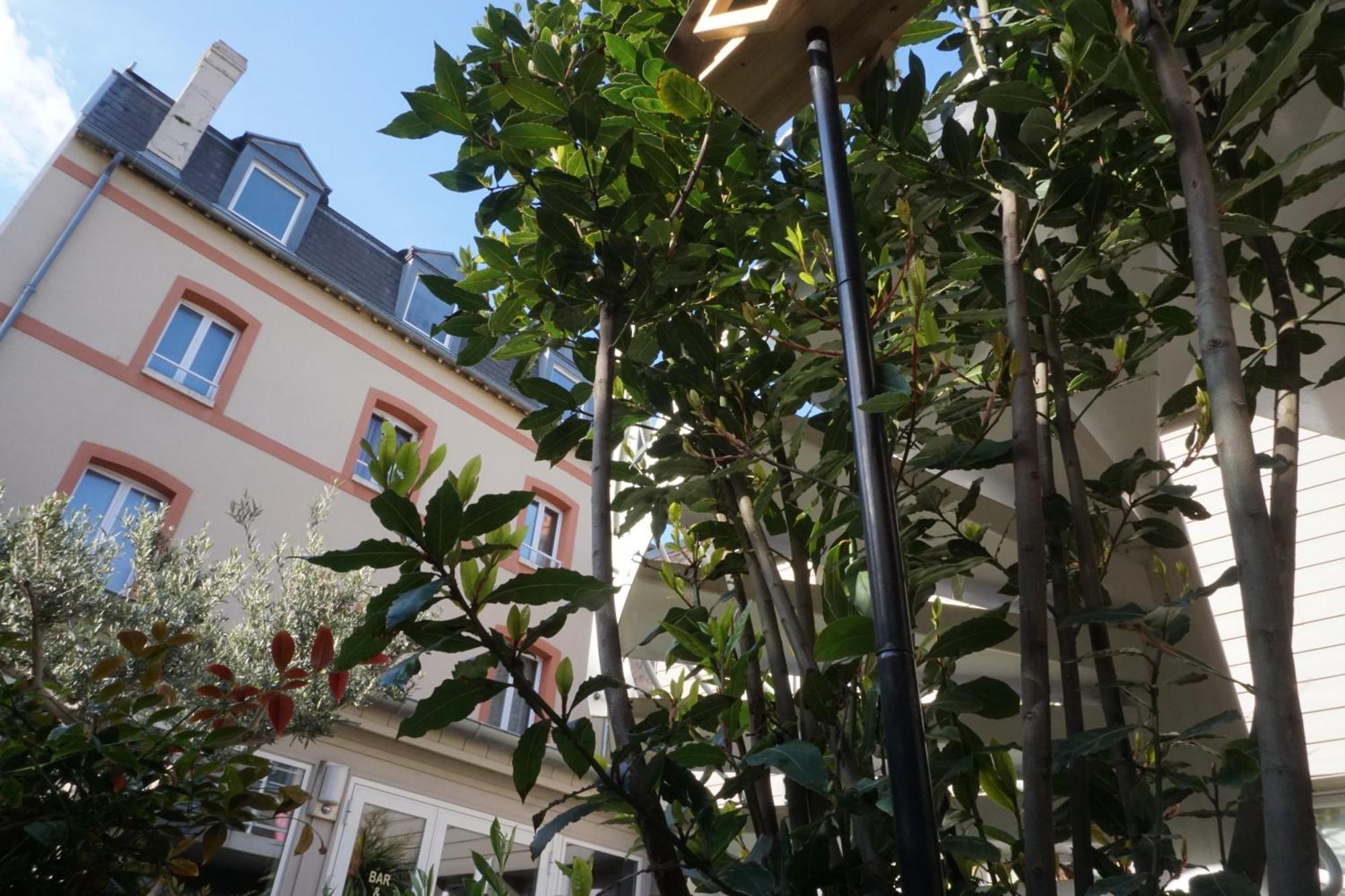 Villa Les Bains Houlgate Dış mekan fotoğraf