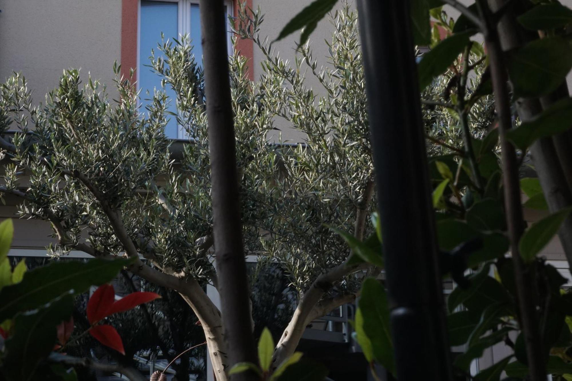 Villa Les Bains Houlgate Dış mekan fotoğraf
